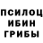 Галлюциногенные грибы мухоморы Erlan Akhbergenov