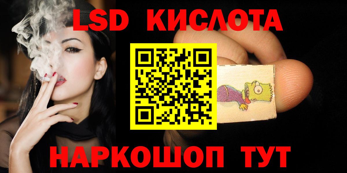 Альфа ПВП Елизово