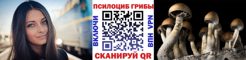 Галлюциногенные грибы мицелий  Елизово 