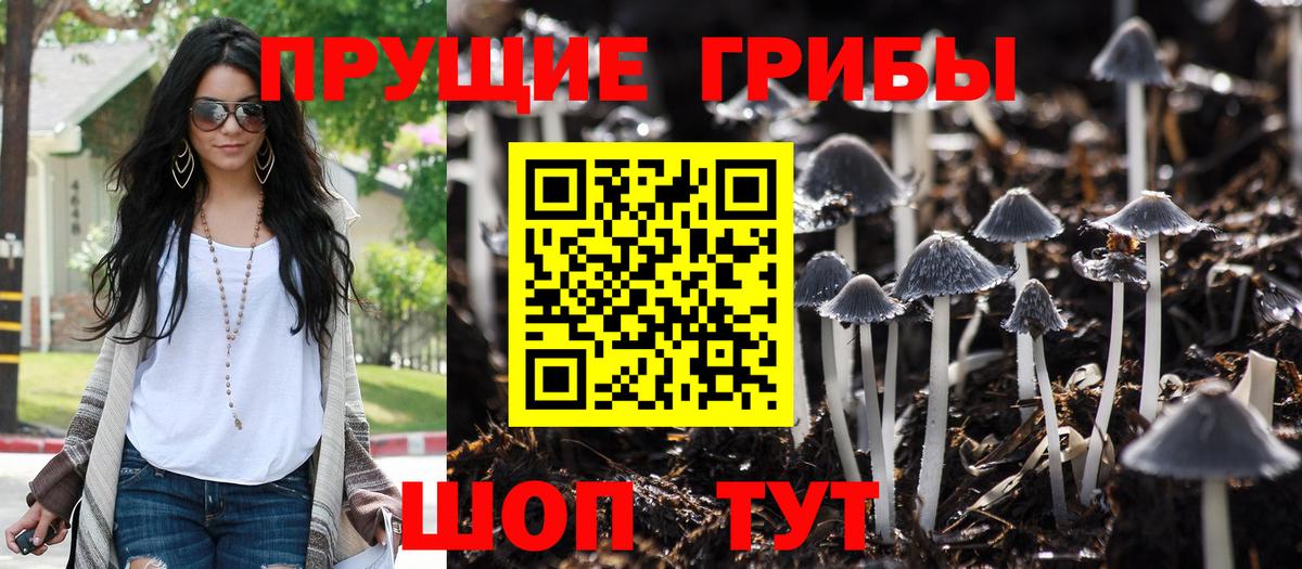Псилоцибиновые грибы прущие грибы Елизово